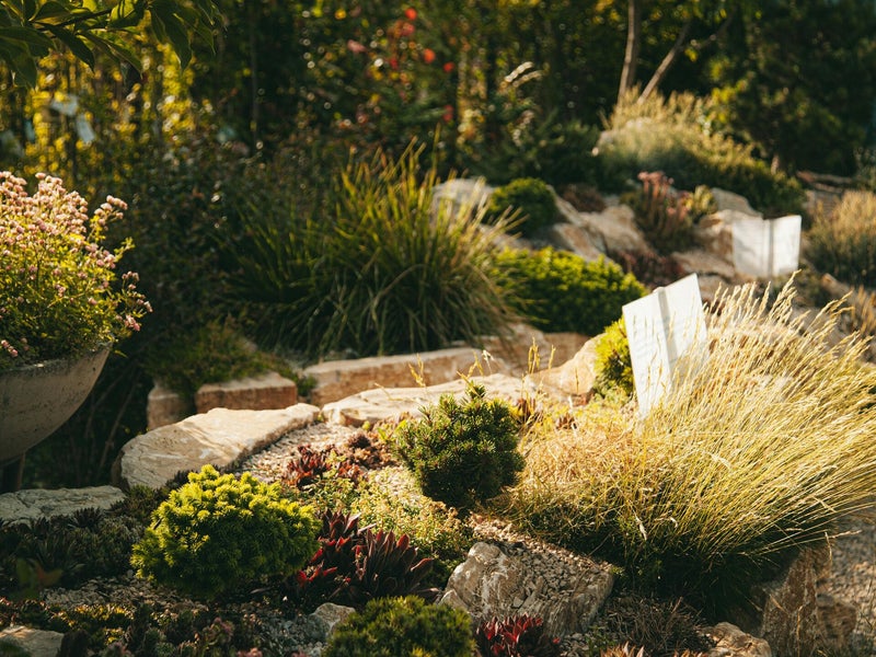 Paisajismo y diseño